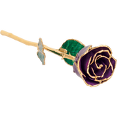 24K Solid Gold Rose- Purple